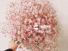 处女座女生喜欢什么礼物：重细节有质感