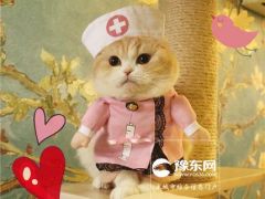 手贱联系天蝎座前男友的下场