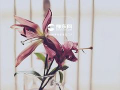 终于不是单身狗了！这些星座今年桃花运爆棚