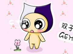 怎么挽回双子男