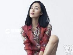 江一燕是什么星座？