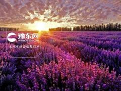 没错，你就是这样的天秤座