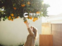 欺骗射手座的下场