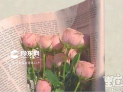 奇葩舍友之双子座