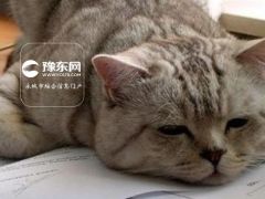 懒癌晚期，谁也别想叫醒的三大装睡星座