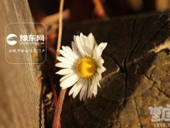 摩羯座如何面对流言蜚语：清者自清