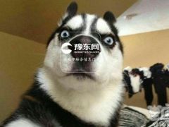泡面忘放调料包，这些爱犯二的星座经常干！