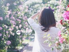 强迫症最严重的星座